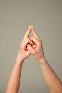 Das Mudra wird auch Wurzelchakra-Geste genannt. 